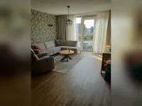 Haagbeuk, Heiloo