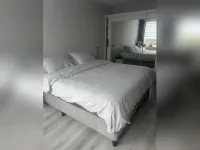 Baardspringer, Koog aan de Zaan