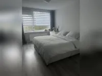 Baardspringer, Koog aan de Zaan