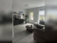 Baardspringer, Koog aan de Zaan