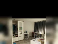 Baardspringer, Koog aan de Zaan