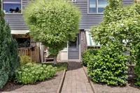 Goudenregenstraat 13, Hoogeveen