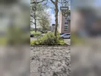 Parsifal, Capelle aan den IJssel