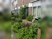 Planciusstraat, Hoek van Holland