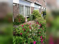 Planciusstraat, Hoek van Holland