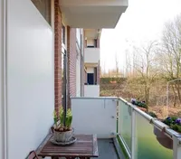 Steijnlaan, Breda