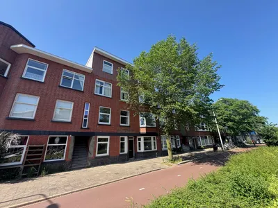 Mient , 2564LD, Den Haag, Zuid-Holland