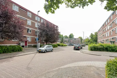 Ruigoord 64, 3079XS, Rotterdam, Zuid-Holland