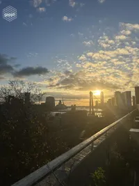 Haringvliet, Rotterdam
