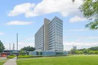 De Lampendriessen, Eindhoven