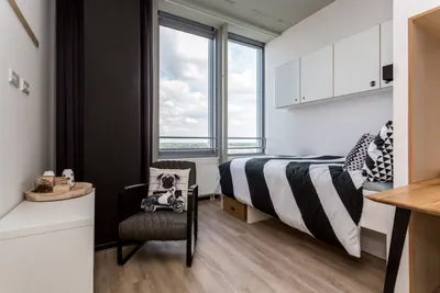 De Lampendriessen , 5612AH, Eindhoven, Noord-Brabant