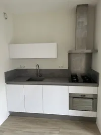 Lariksplaats, Tilburg