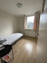 De Steenzager, Veldhoven