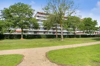 Sibeliuspark, Oss