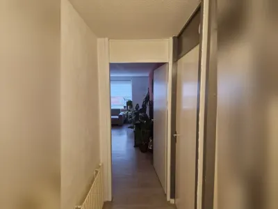 Peter Paul Rubensstraat , 2231DB, Rijnsburg, Zuid-Holland