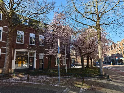 Herungerstraat 2, 5911AL, Venlo, Limburg