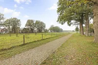 De Groene Voorwaarts, Apeldoorn