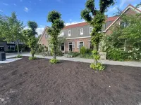 Scheltussingel, Amersfoort