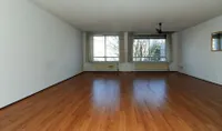 Noordwal, Den Haag