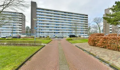 Honthorstlaan , 1816TG, Alkmaar, Noord-Holland
