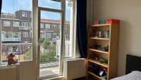 Lippe-Biesterfeldweg, Den Haag
