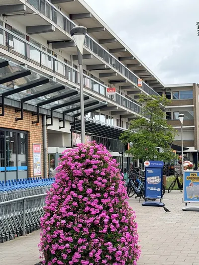 Oegstgeesterweg 96, 2231BA, Rijnsburg, Zuid-Holland