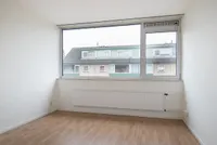 Mignonpad, Amersfoort