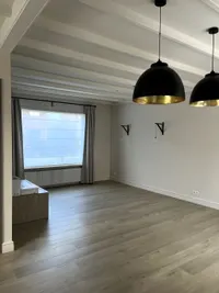 Plataanstraat, Sas van Gent