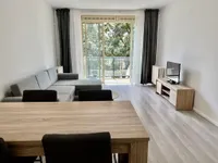 Werengouw, Amsterdam