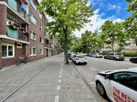 Werengouw, Amsterdam