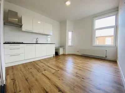 Larensestraat , 2574VG, Den Haag, Zuid-Holland