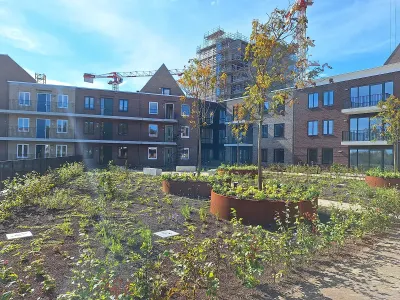 Timmerrak , 1506TP, Zaandam, Noord-Holland