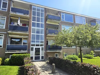 Berberisstraat 11, 7906KK, Hoogeveen, Drenthe