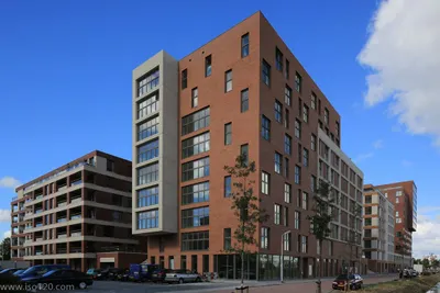 Teakhout , 1507EM, Zaandam, Noord-Holland