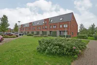 Tongvaren, Vleuten