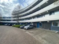 Veenbes, Leiden