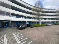 Veenbes, Leiden