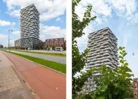 Rosestraat, Rotterdam