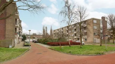 Lievenshof , 1816KJ, Alkmaar, Noord-Holland