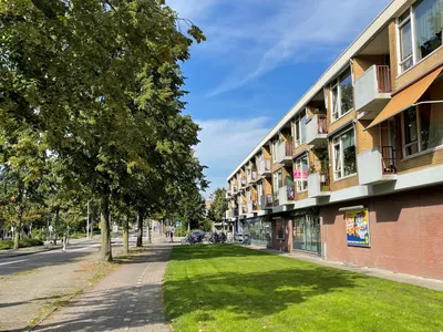 Kamerlingh Onneslaan , 1097DH, Amsterdam, Noord-Holland