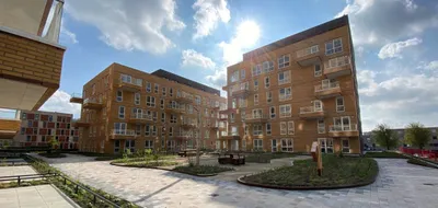 Teakhout , 1507EM, Zaandam, Noord-Holland