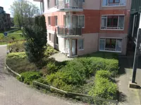 Terborchhof, Alkmaar