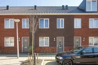 Wulp, Diemen