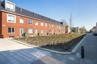 Wulp, Diemen