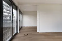 Purperhoedenveem, Amsterdam