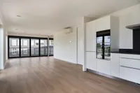 Purperhoedenveem, Amsterdam