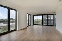 Purperhoedenveem, Amsterdam