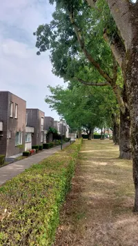 Gerbergastraat, Beek