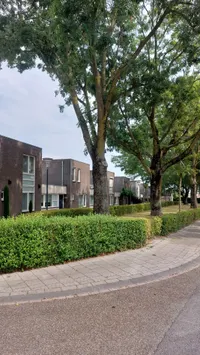 Gerbergastraat, Beek