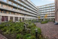 Plantage Westermanlaan, Amsterdam